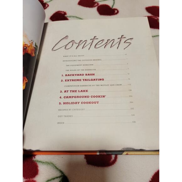 Guy On Fire: 130 Recipes for Adventures in Outdoor Cooking Guy Fieri Cookbook - Picture 3 of 5